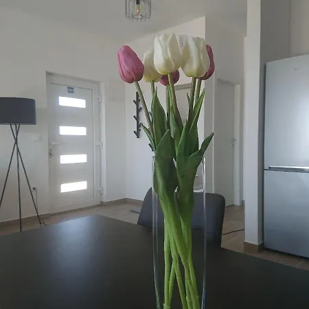 Apartman Dora